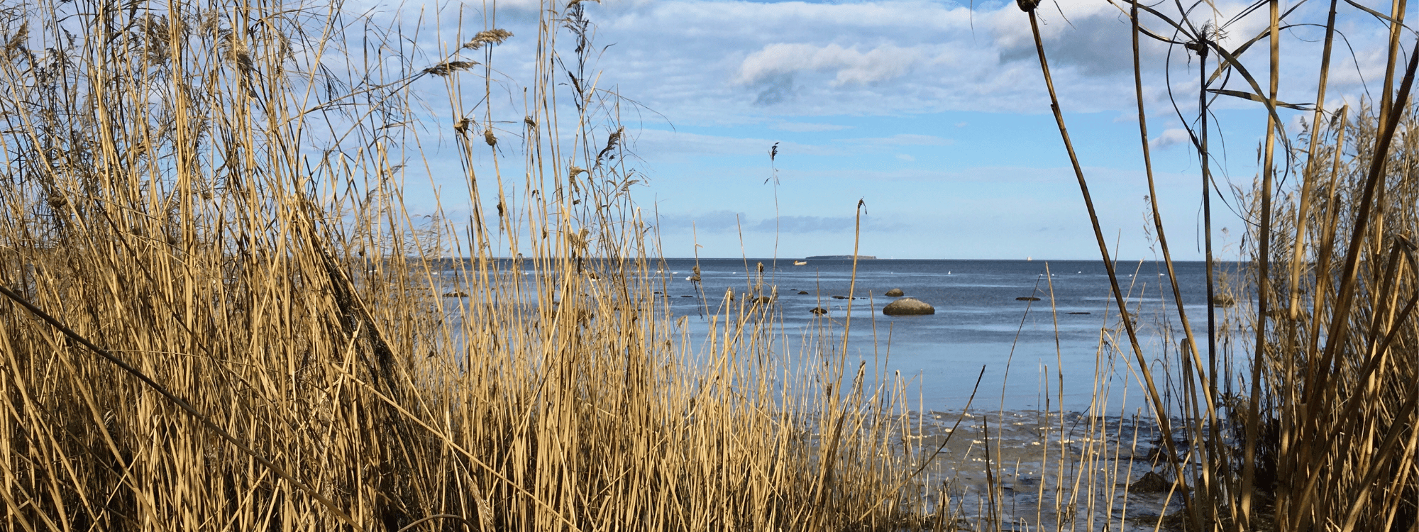 Eutrophierung im Kontext von Land und Meer  - Ursachen und Auswirkungen gemeinsam beleuchten