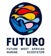 FUTURO Co-Design Workshop